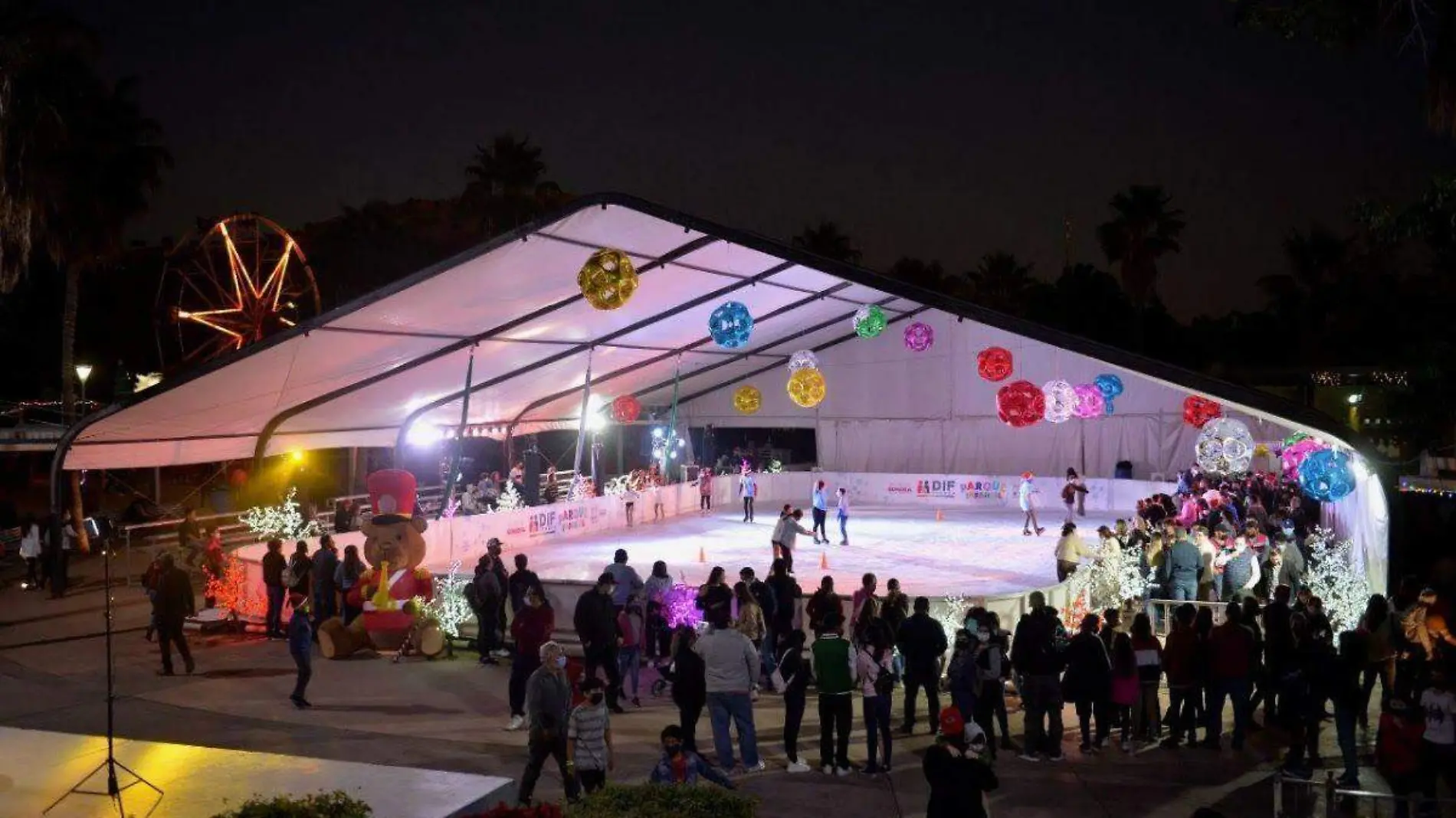 Pista de patinaje en el Parque Infantil (2)